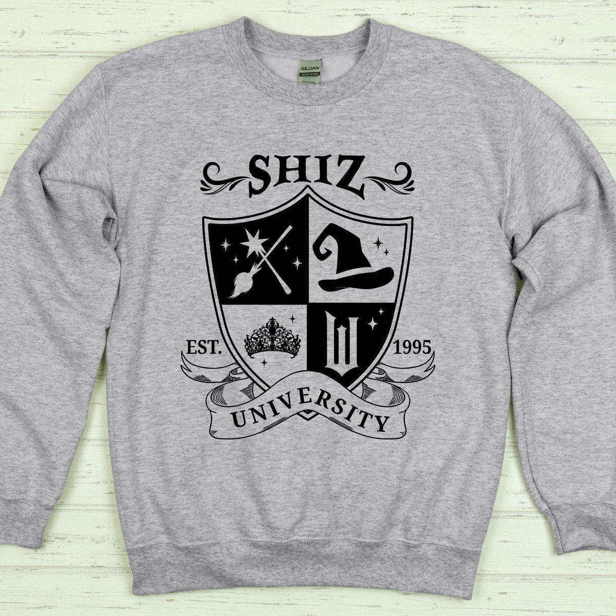 Shiz University Sweatshirt, Defy Gravity Broomstick Magic Wand Hoodie, Wizard Sweater