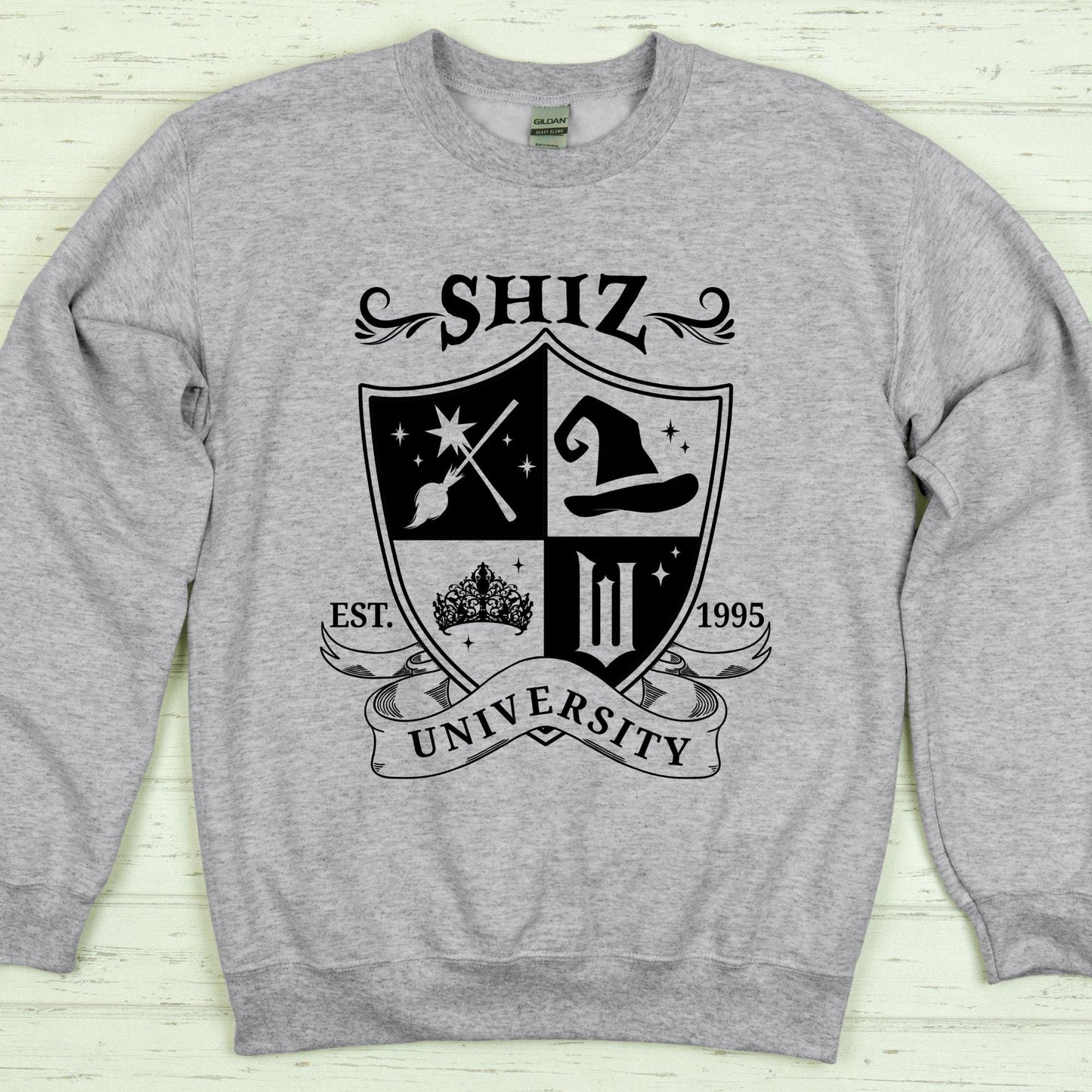 Shiz University Sweatshirt, Defy Gravity Broomstick Magic Wand Hoodie, Wizard Sweater