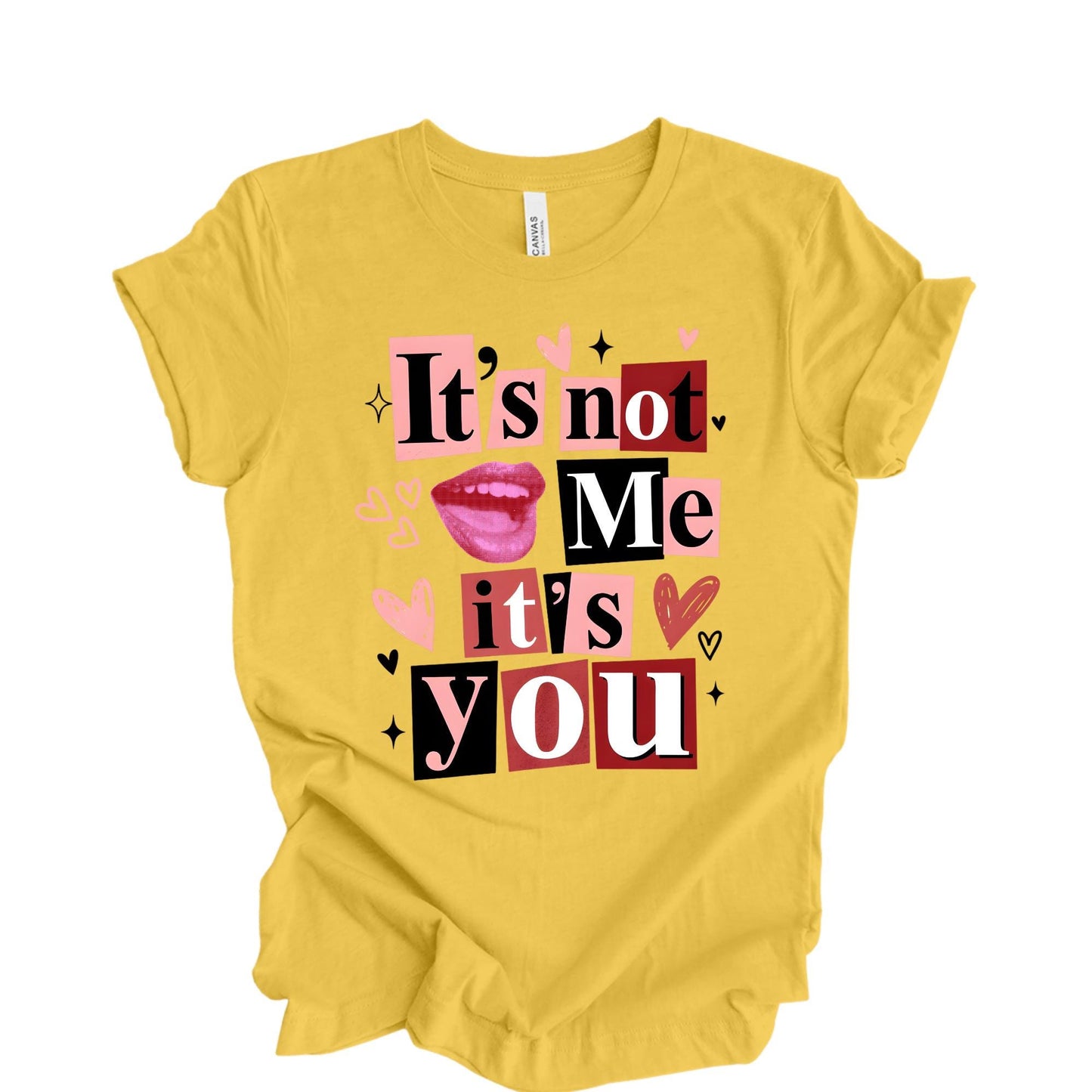 Funny Valentine's Day Shirt It's Not Me It's You Sarcastic Anti Valentine Tee Outfit