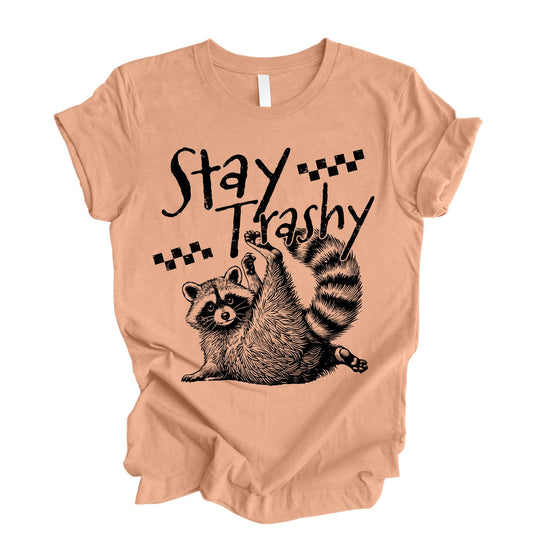 Stay Trashy Raccoon Shirt, Funny Meme Raccoon T-Shirt, Retro Animal Graphic Tee, Raccoon Lover Gift, Funny Mom Life Shirt