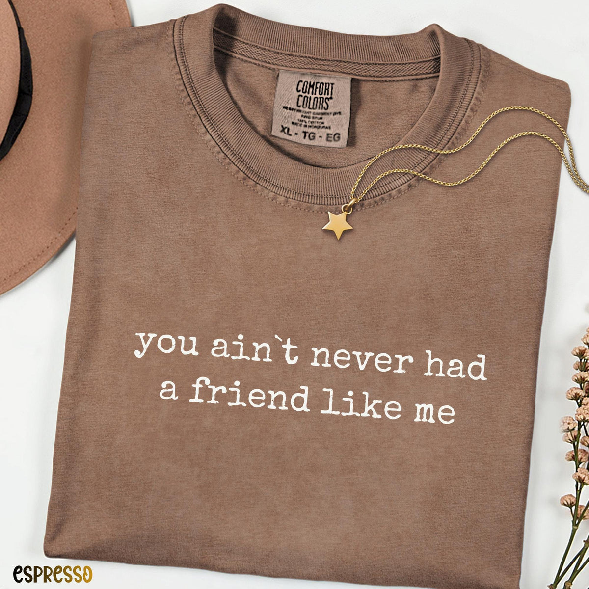 You Ain’t Never Had a Friend Like Me Comfort Colors® Shirt, Funny Quote Tee, Retro Minimalist Graphic Shirt, Gift for Friend