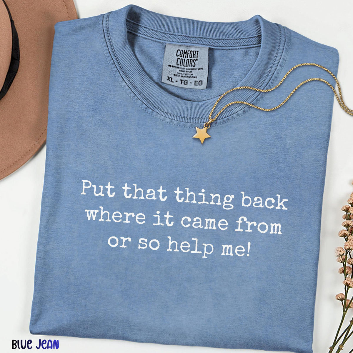 Put That Thing Back Where It Came From Or So Help Me Tee, Funny Quote Shirt, Minimalist Comfort Colors Shirt, Family Vacation Tee