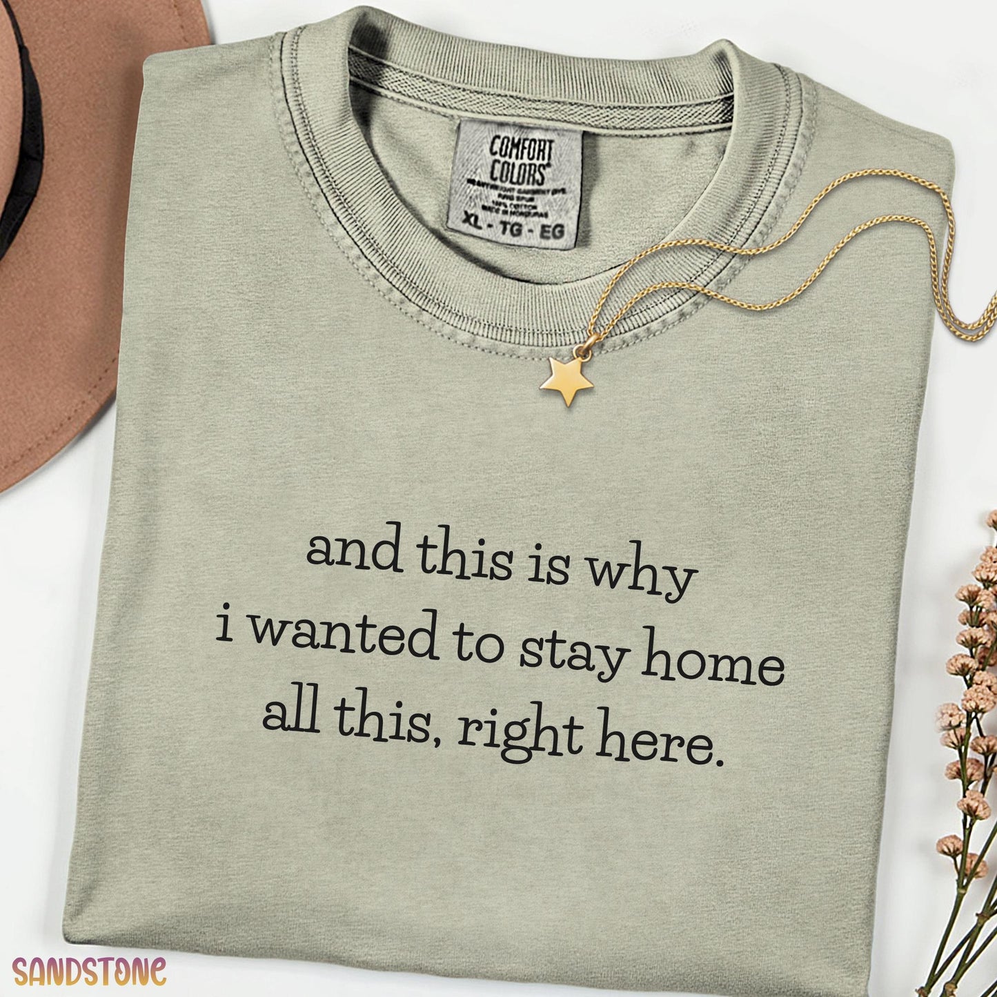 And This Is Why I Wanted To Stay Home Funny Tee, Comfort Colors Introvert Shirt, Sarcastic Meme Graphic T-Shirt for Women, Cozy Humor Top