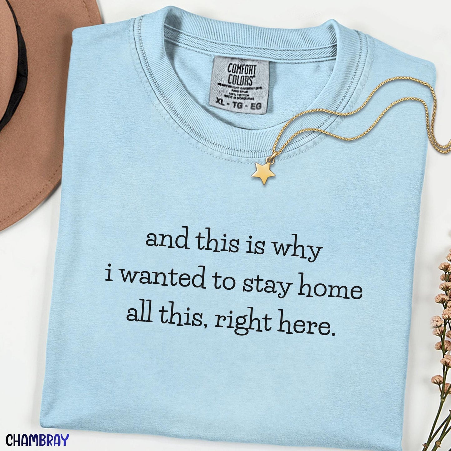 And This Is Why I Wanted To Stay Home Funny Tee, Comfort Colors Introvert Shirt, Sarcastic Meme Graphic T-Shirt for Women, Cozy Humor Top