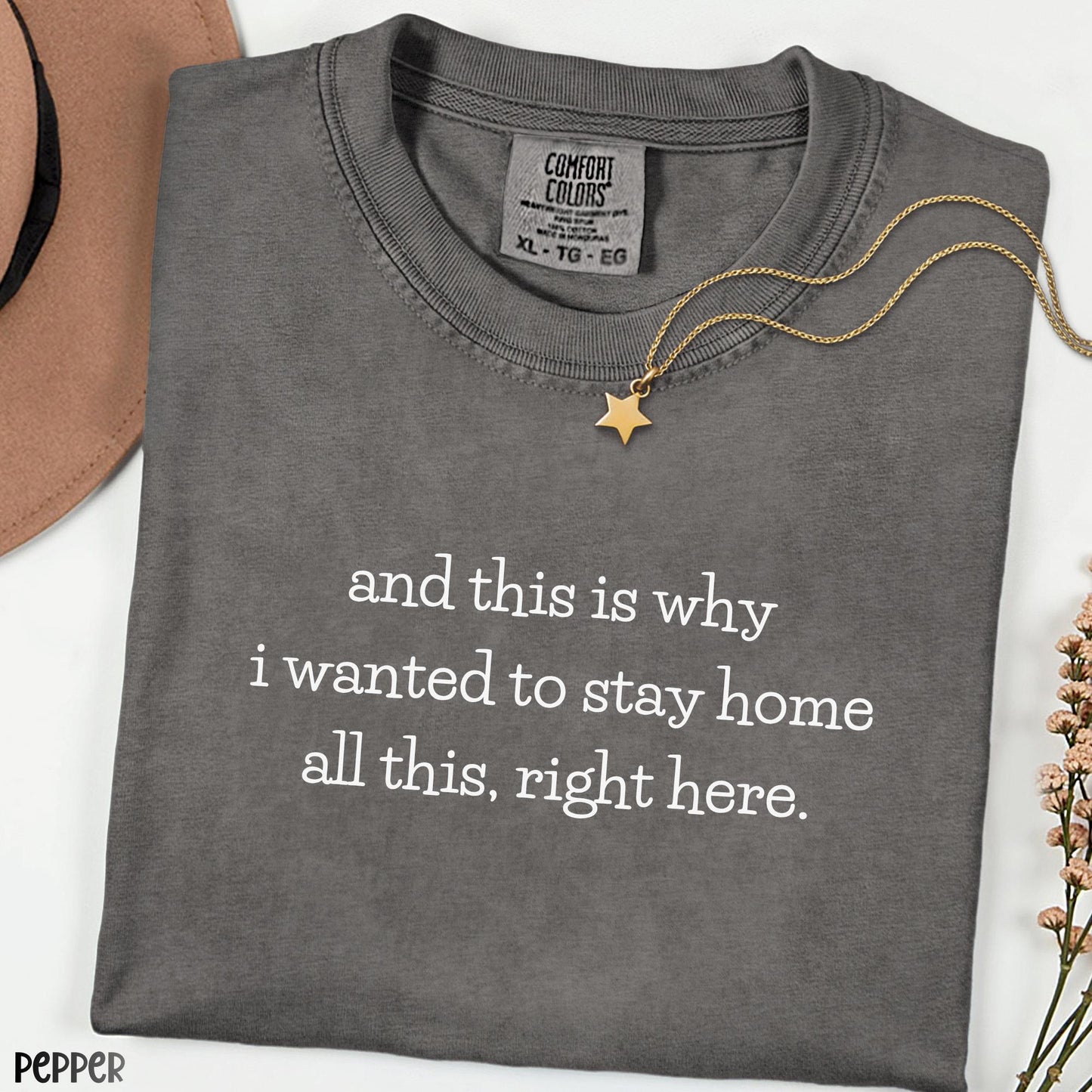 And This Is Why I Wanted To Stay Home Funny Tee, Comfort Colors Introvert Shirt, Sarcastic Meme Graphic T-Shirt for Women, Cozy Humor Top