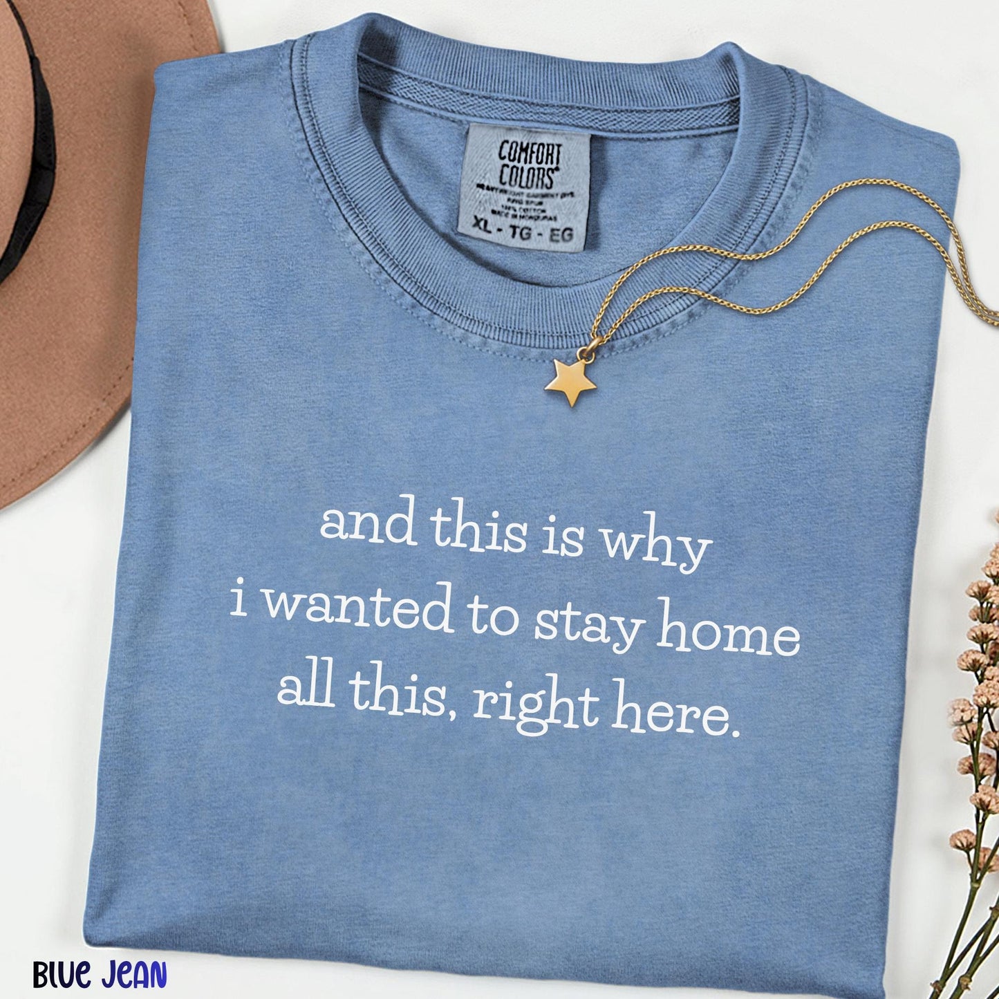 And This Is Why I Wanted To Stay Home Funny Tee, Comfort Colors Introvert Shirt, Sarcastic Meme Graphic T-Shirt for Women, Cozy Humor Top