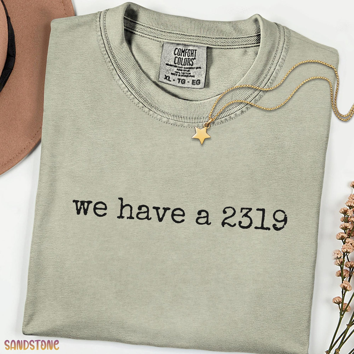 Comfort Colors Style We Have a 2319 Shirt, Funny Cartoon Alert Meme Tee, Cute Minimal Office Chaos Graphic Unisex Gift Shirt