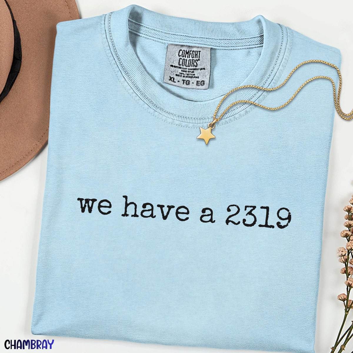 Comfort Colors Style We Have a 2319 Shirt, Funny Cartoon Alert Meme Tee, Cute Minimal Office Chaos Graphic Unisex Gift Shirt