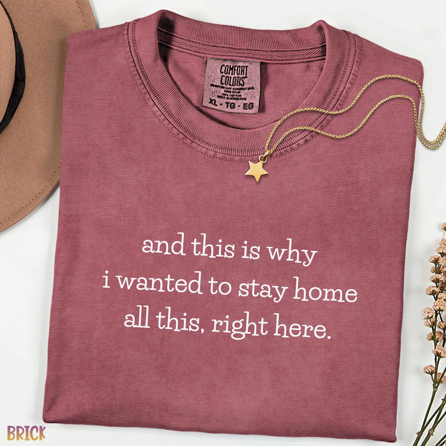 And This Is Why I Wanted To Stay Home Funny Tee, Comfort Colors Introvert Shirt, Sarcastic Meme Graphic T-Shirt for Women, Cozy Humor Top
